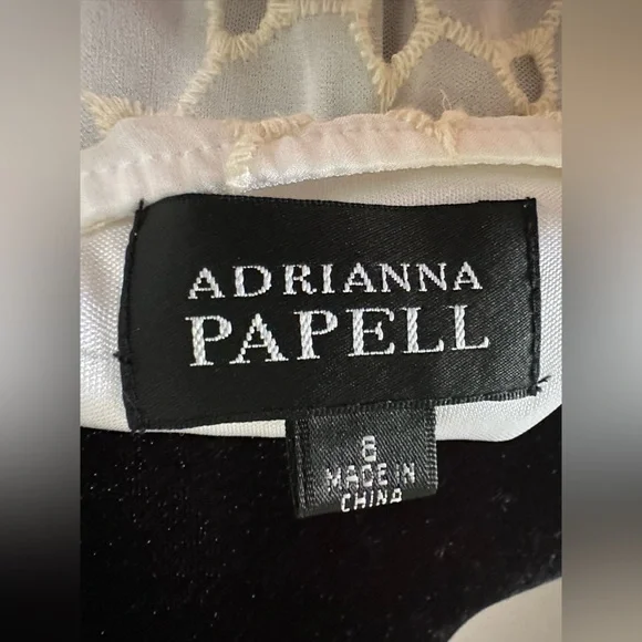 Adrianna Papell - Elegant Cream Lace Dress - Picture 5 of 10